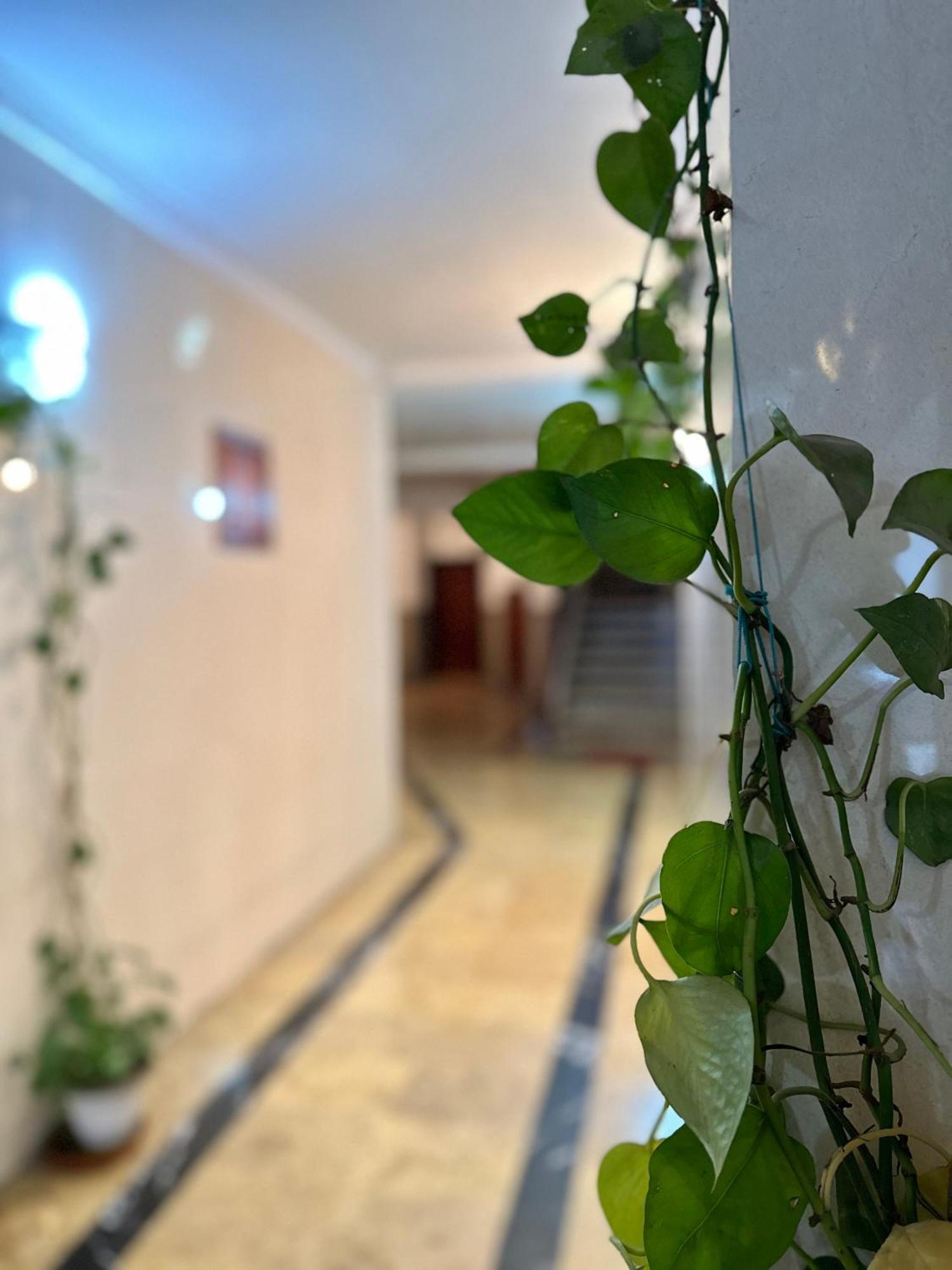 Casa Central Tétouan Buitenkant foto
